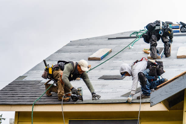 Professional Emergency Roof Repair technician working in New Marshfield, OH